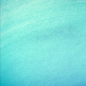 Meet your Posher, Carly